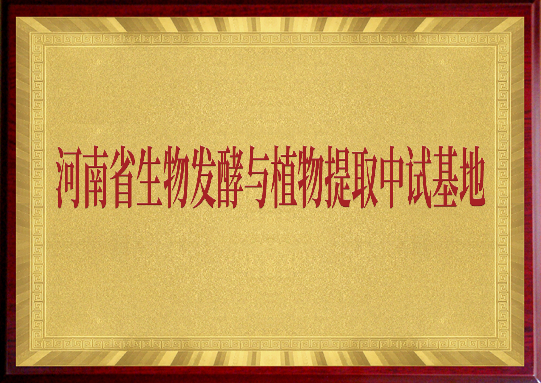 河南省生物發酵與植物提取中試基地